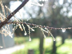 Por Archivaldo (Trabajo propio) [Public domain], undefined